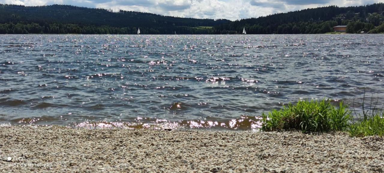 U Machacku - Lipno Lägenhet Lipno nad Vltavou Exteriör bild