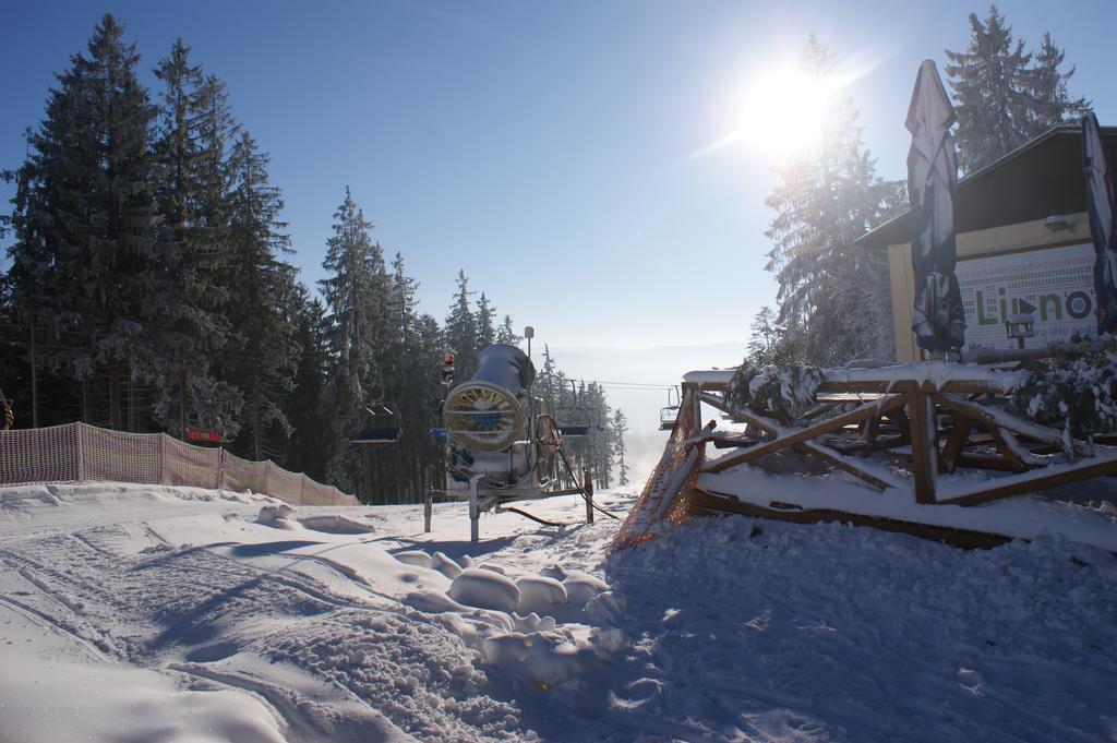 U Machacku - Lipno Lägenhet Lipno nad Vltavou Exteriör bild